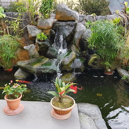 Crystal Cameron Vacation Bungalow 金马仑高原 外观 照片