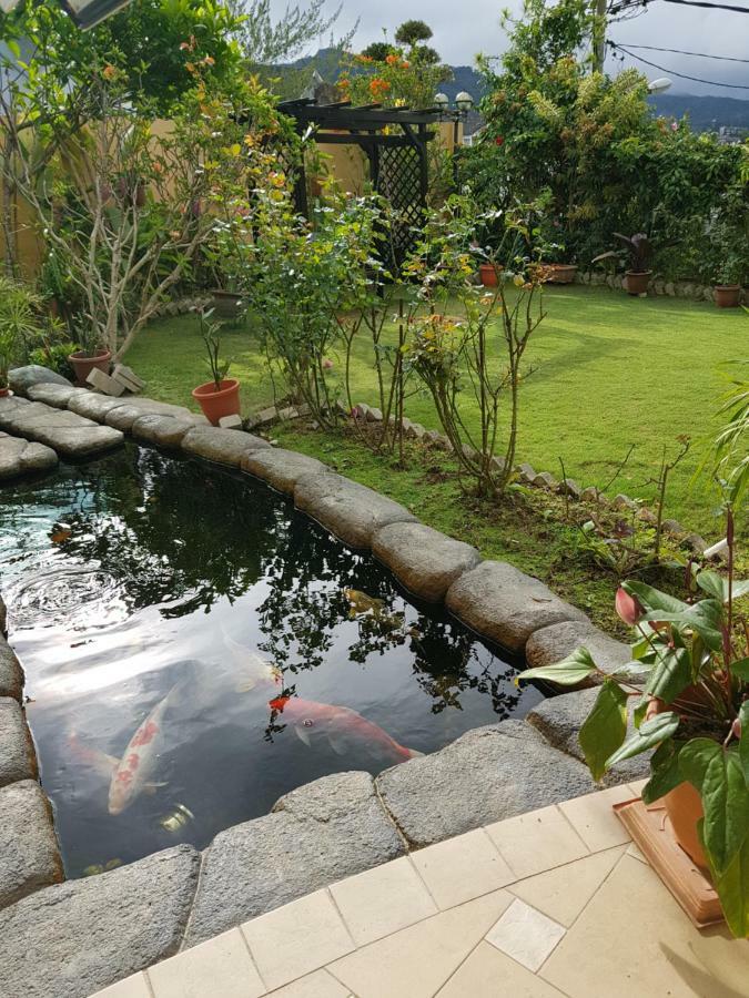 Crystal Cameron Vacation Bungalow 金马仑高原 外观 照片